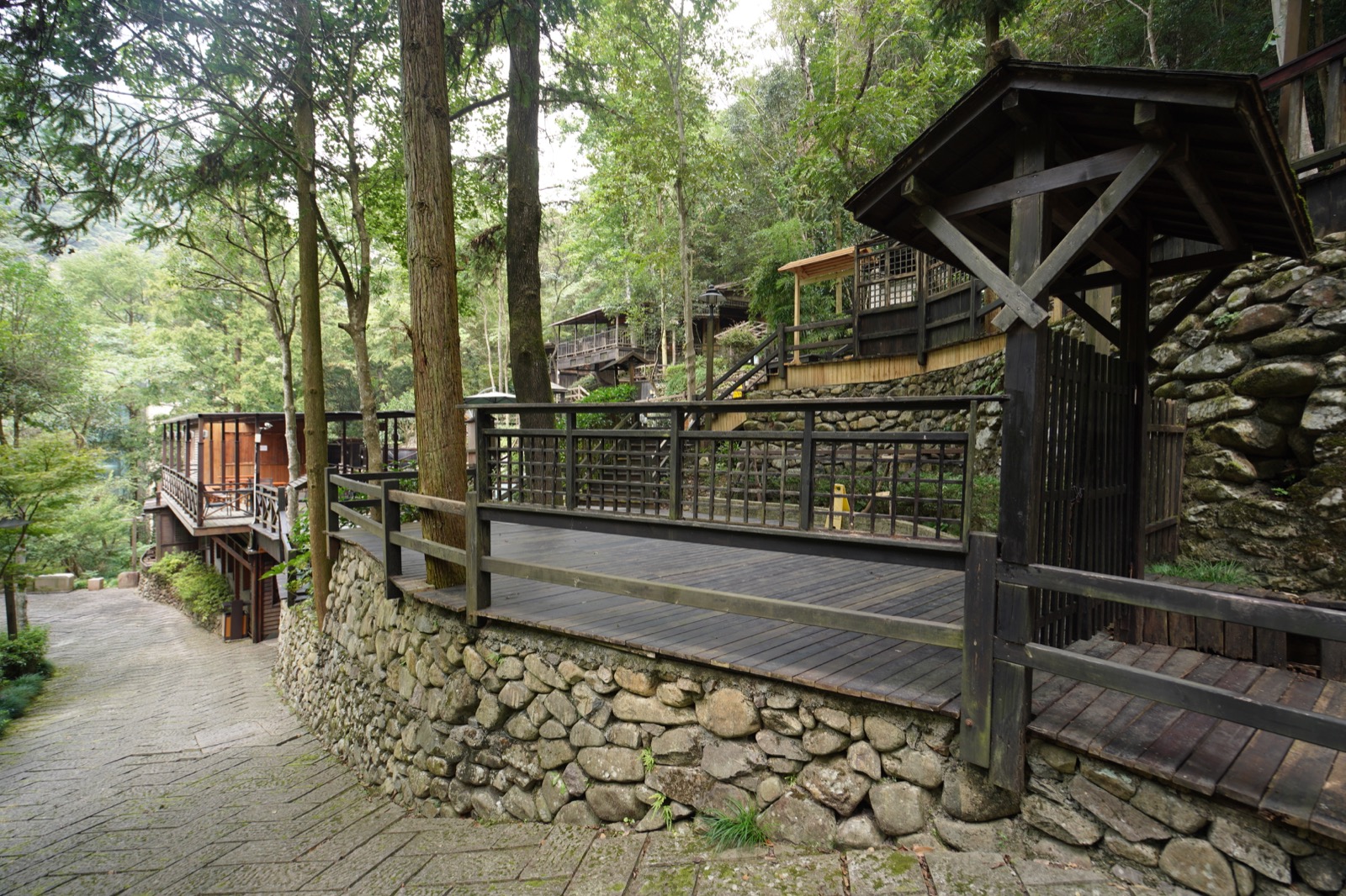 Wooden terraces and a stone path among tall forest trees